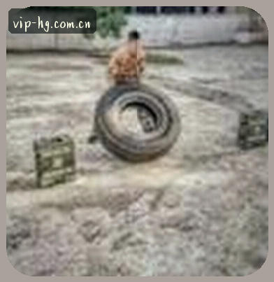 陈宇